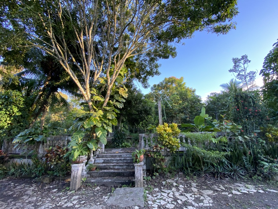 Escaleras históricas de la Hacienda · Finca Tierra Negra