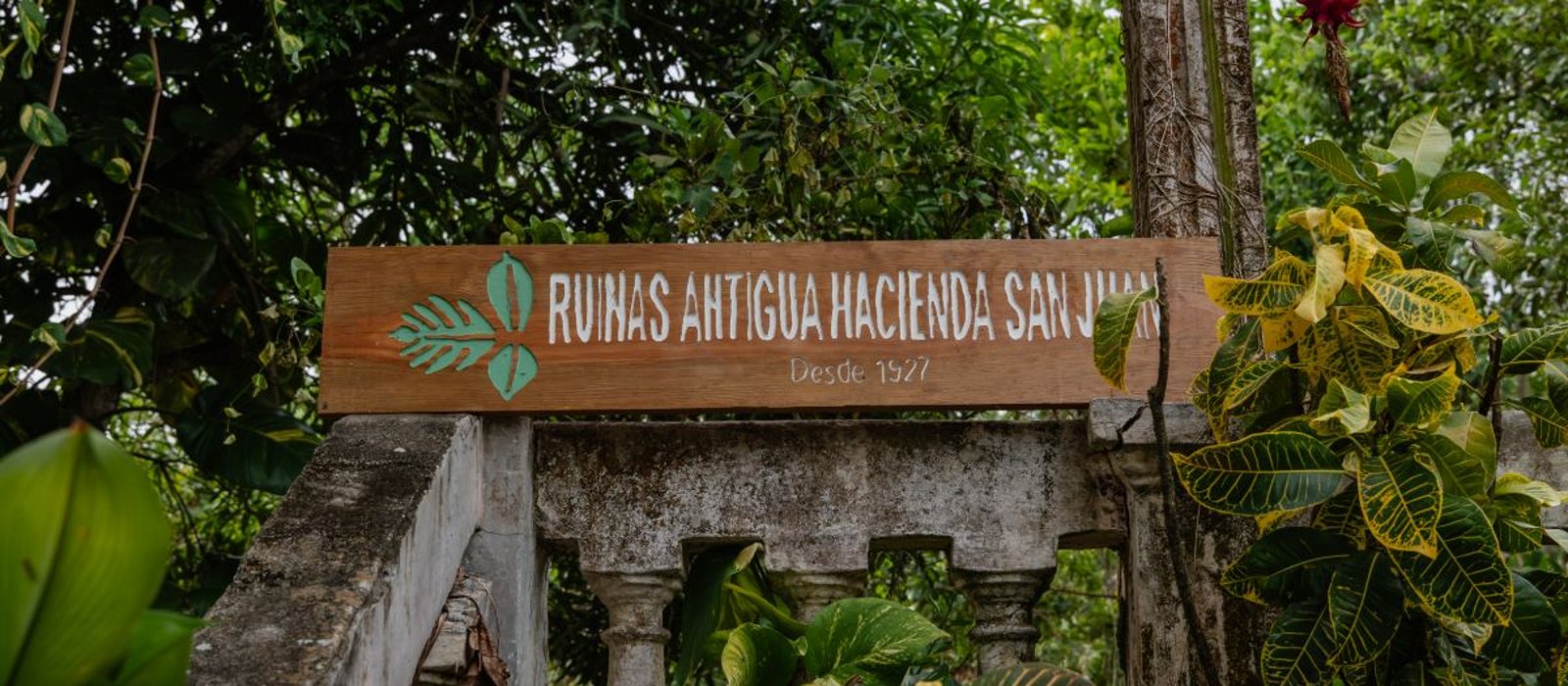 Ruinas de la antigua Hacienda San Juan · desde 1907
